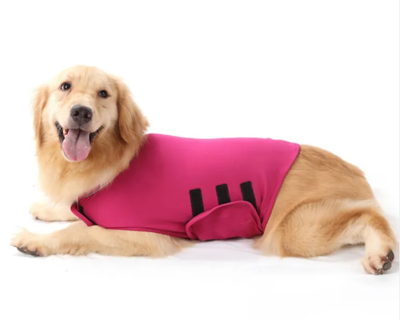 Snug wrap jacket for dogs in Rose Red on a golden retriever lying down, side view