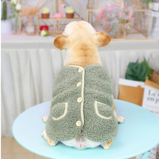 French bulldog from behind wearing the green sherpa dog vest, buttoned down the back