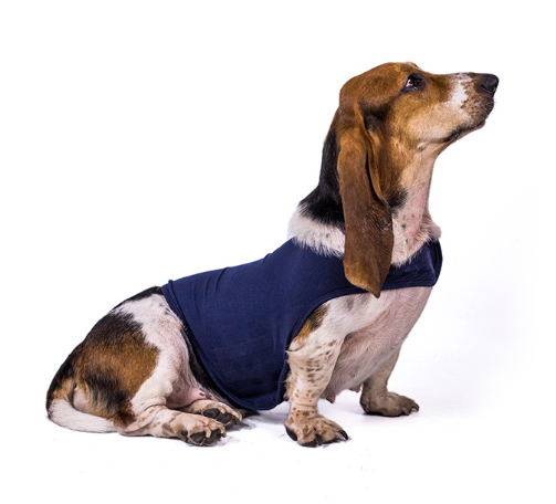 Snug wrap jacket for dogs in soft stretchy fabric with hook-and-loop closures