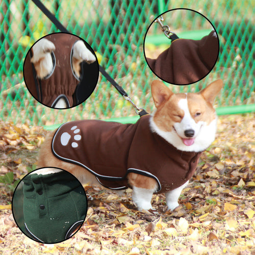 Corgi wearing the brown fleece turtleneck dog coat outdoors, with close-ups of the collar and the dark green version