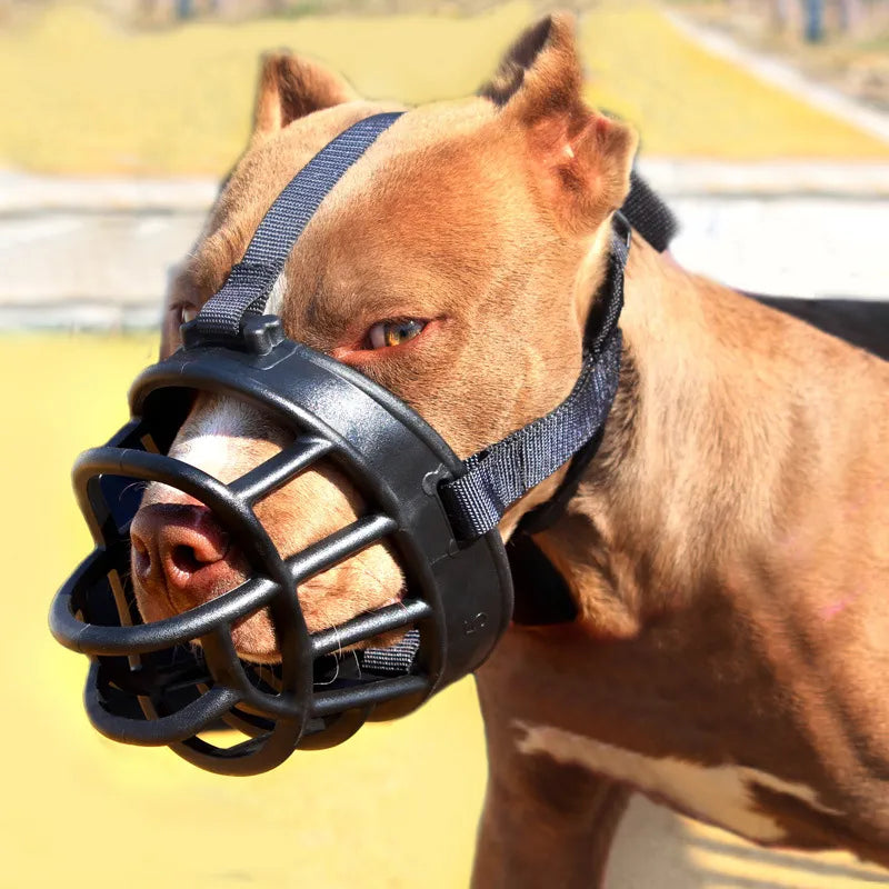 Silicone basket muzzle for dogs in Black, worn by a brown short-haired dog