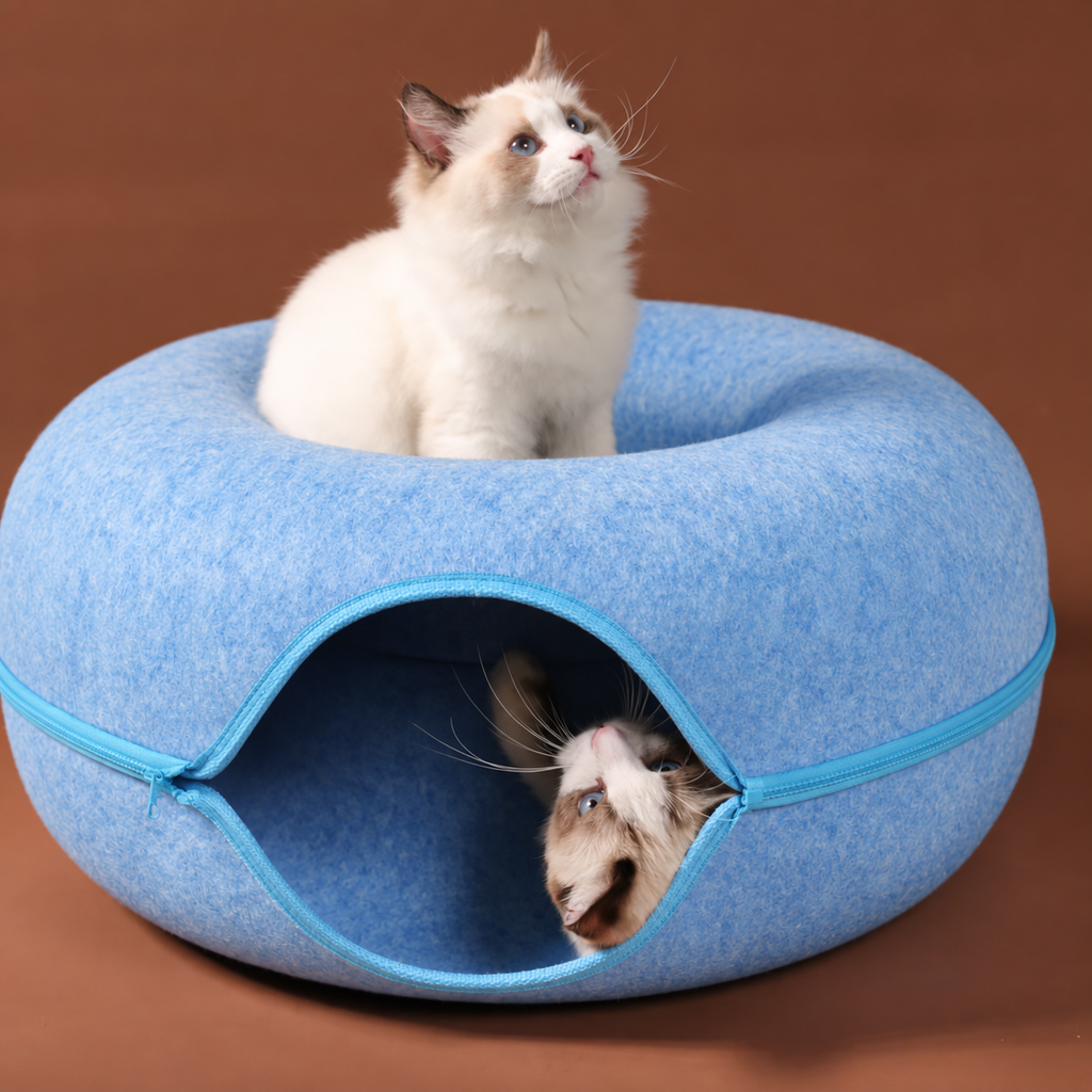 Two cats using the blue felt tunnel nest, one sitting on top and one peeking out of the side opening