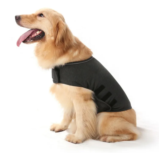 Snug wrap jacket for dogs in Dark Gray on a sitting golden retriever, side view