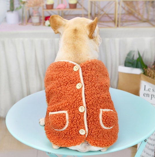 French bulldog from behind wearing the orange sherpa dog vest, buttoned down the back
